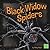 Black Widow Spiders