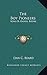 The Boy Pioneers: Sons Of Daniel Boone