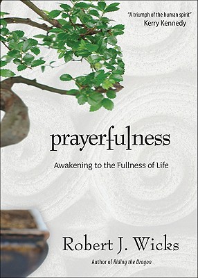 Prayerfulness (Hardcover)