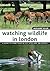 Watching Wildlife in London