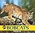 Bobcats (Cats of the Wild)