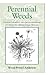 Perennial Weeds: Characteristics and Identification of Selected Herbaceous Species