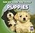 Puppies