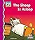 Sheep Is Asleep (First Rhymes)