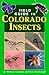 Field Guide to Colorado Insects