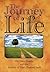 The Journey of Life