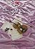 RMS Titanic: The First Violin