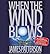 When the Wind Blows by James  Patterson