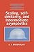 Scaling, Self-similarity, and Intermediate Asymptotics: Dimensional Analysis and Intermediate Asymptotics (Cambridge Texts in Applied Mathematics, Series Number 14)