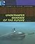 Underwater Warfare of the F...