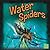 Water Spiders