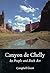 Canyon de Chelly: Its People and Rock Art