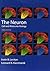 The Neuron: Cell and Molecu...