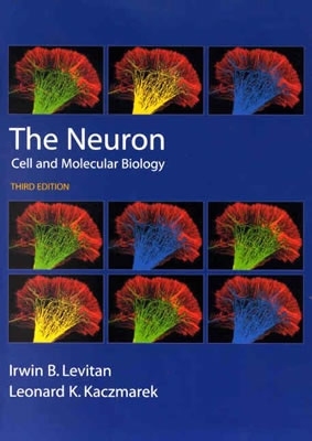 The Neuron: Cell and Molecular Biology