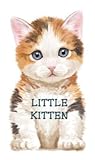 Little Kitten (Look at Me Books)