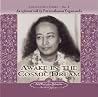 Awake in the Cosmic Dream: An Informal Talk Awake in the Cosmic Dream: An Informal Talk