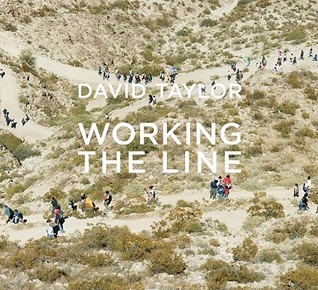 David Taylor: Working the Line (Hardcover)
