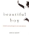 Beautiful Boy: A ...