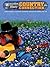 Country Connection: E-Z Play Today Volume 30