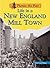 Life in a New England Mill Town by Sally Senzell Isaacs