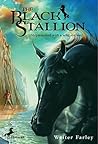 The Black Stallion (Black Stallion