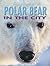Polar Bear in the City