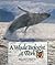 A Whale Biologist at Work (...
