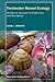 Freshwater Mussel Ecology by David L. Strayer