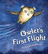 Owlet's First Flight by Mitra Modarressi