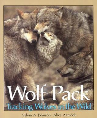 Wolf Pack: Tracking Wolves in the Wild (Paperback)