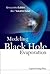 MODELING BLACK HOLE EVAPORATION by Fabbri Alessandro