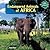 Endangered Animals of Africa