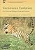 Carnivoran Evolution: New Views on Phylogeny, Form and Function (Cambridge Studies in Morphology and Molecules: New Paradigms in Evolutionary Bio, Series Number 1)