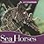 Seahorses (Animals Animals)