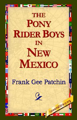 The Pony Rider Boys in New Mexico (Paperback)