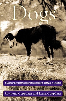 Dogs: A Startling New Understanding of Canine Origin, Behavior & Evolution (Hardcover)