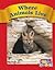 Where Animals Live (Phonic Readers)