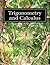 Trigonometry and Calculus by Bruce Piercey