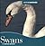 Swans (Animals Animals)
