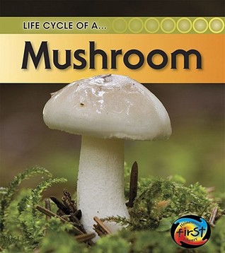 Life Cycle of a Mushroom (Life Cycle of A...)