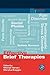 Effective Brief Therapies: A Clinician's Guide (Practical Resources for the Mental Health Professional)