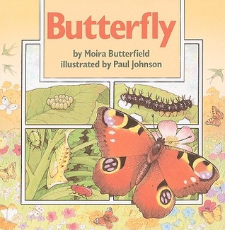 Butterfly (Paperback)