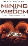 Mining for Wisdom: A Twenty-Eight-Day Devotional Based on the Book of Job