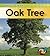 Life Cycle of an Oak Tree (Life Cycle of a...)