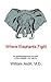 Where Elephants Fight: An Autobiographical Account of the Liberian Civil War