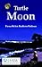 Turtle Moon by Fiona Helen Redfern-pattison