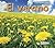 El verano / Summer (Las Estaciones / Seasons) (Spanish Edition)