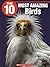 The 10 Most Amazing Birds