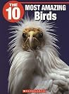 The 10 Most Amazing Birds The 10 Most Amazing Birds