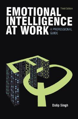 Emotional Intelligence at Work: A Professional Guide (Paperback)